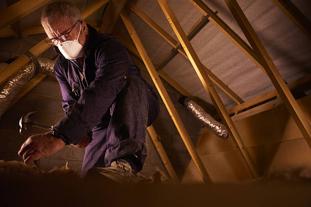 Best Insulation Installation Services in North Browning, MT